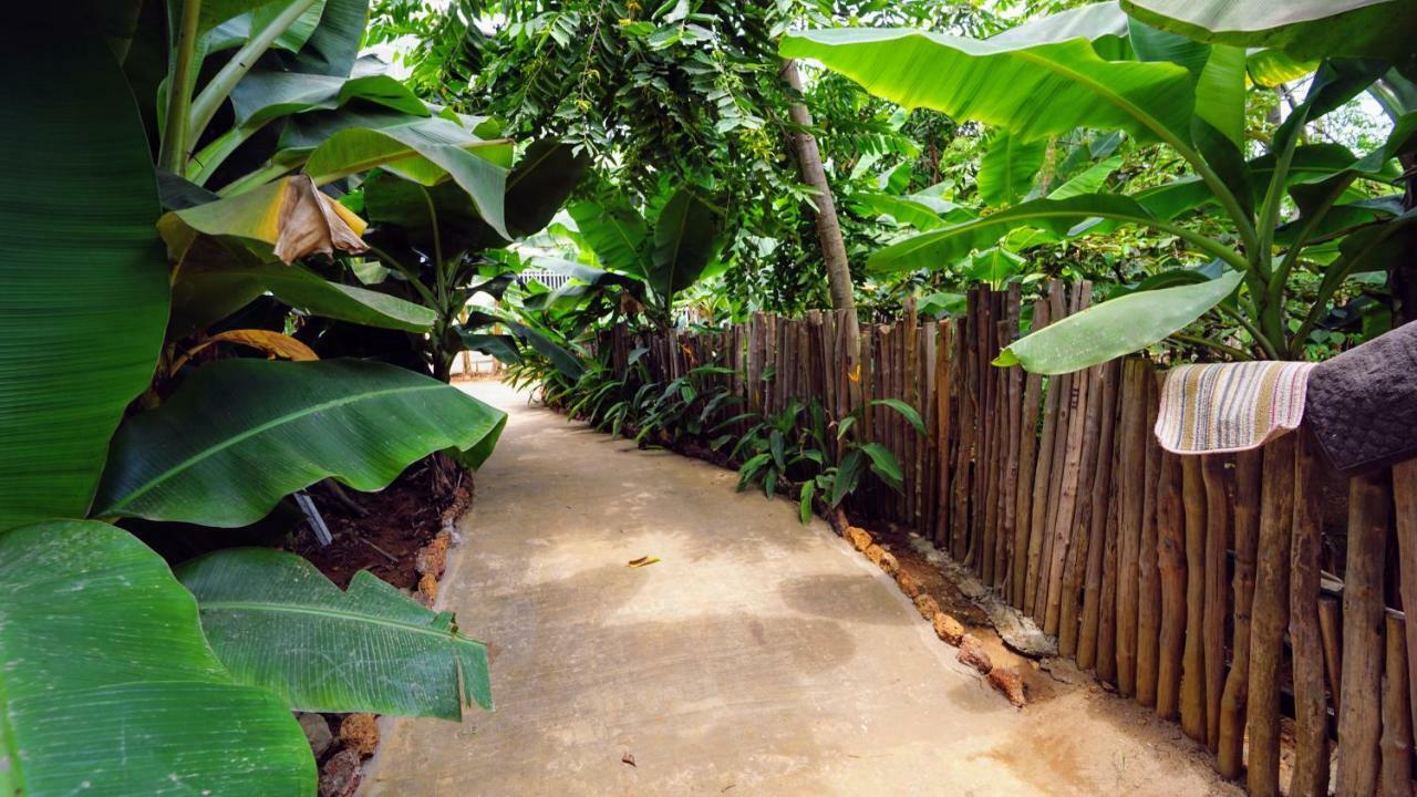 The Family Kingdom Resort Freetown Buitenkant foto